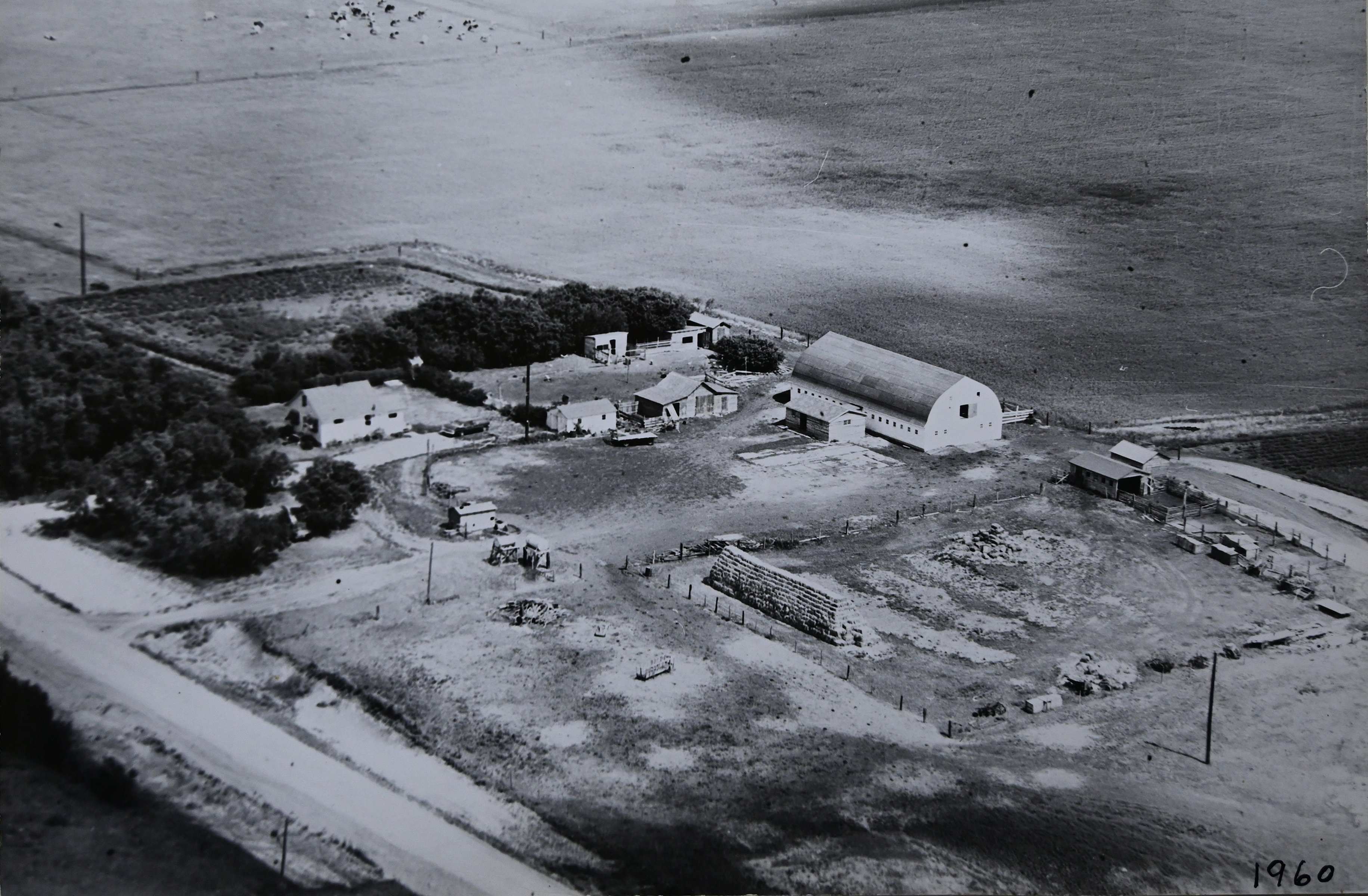 Harris Family Farm yard in 1960