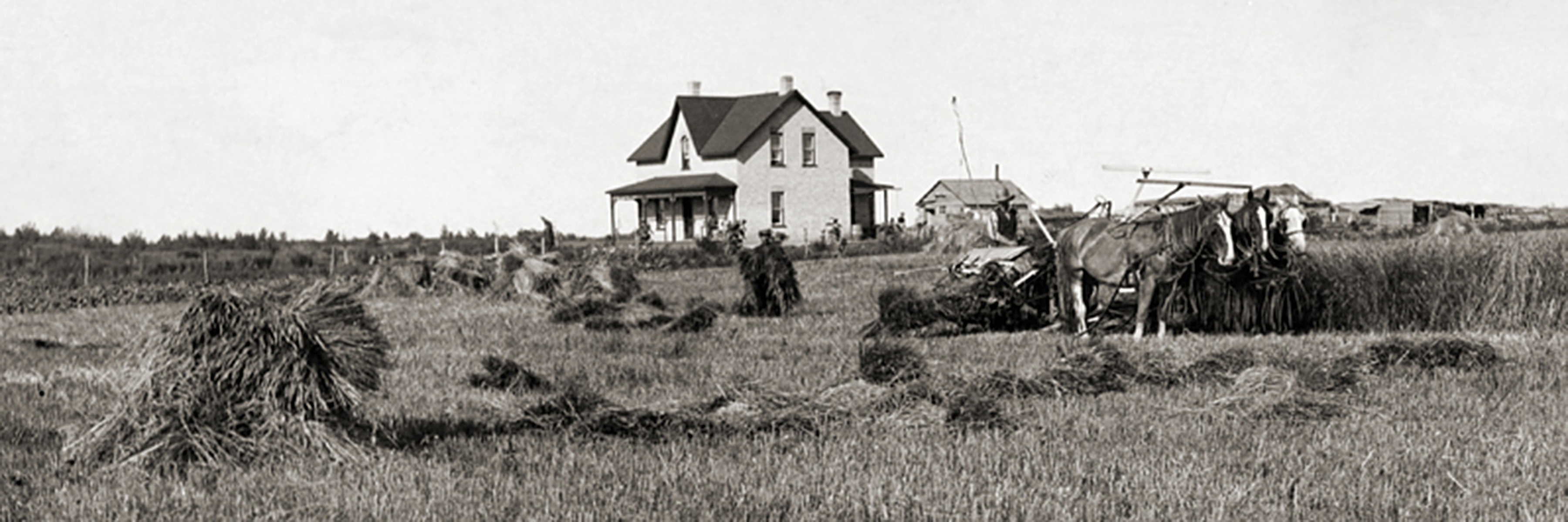 Historic Harris Family Farm homestead